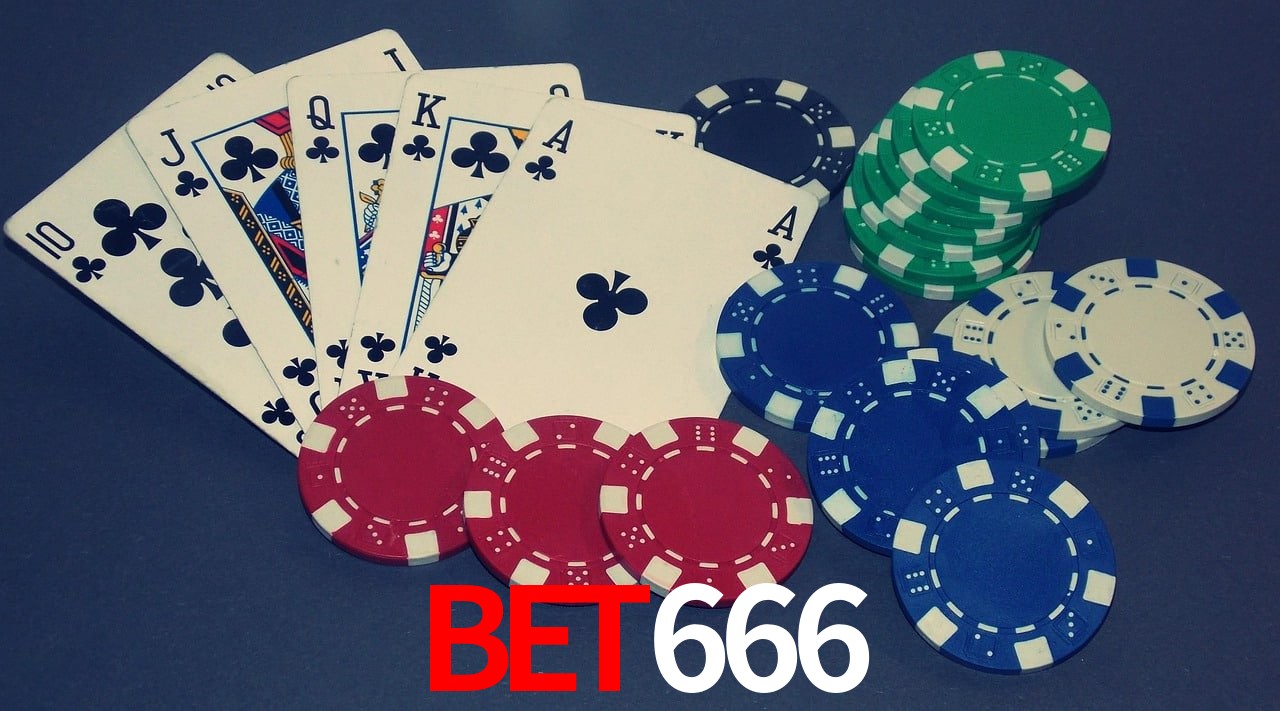 Experiência VIP bet666